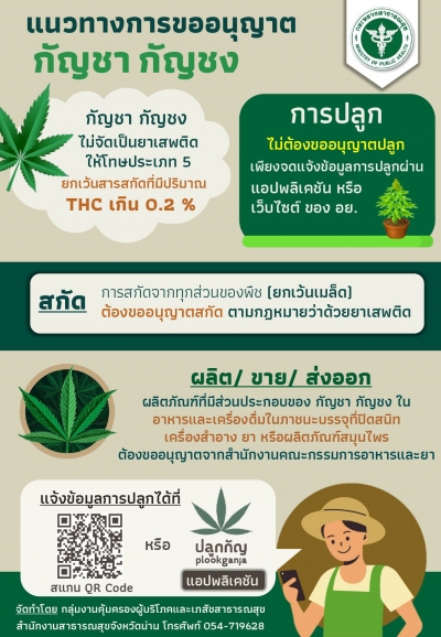แนวทางการขออนุญาต กัญชา/กัญชง